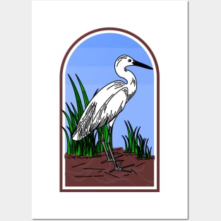 Swan Posters and Art